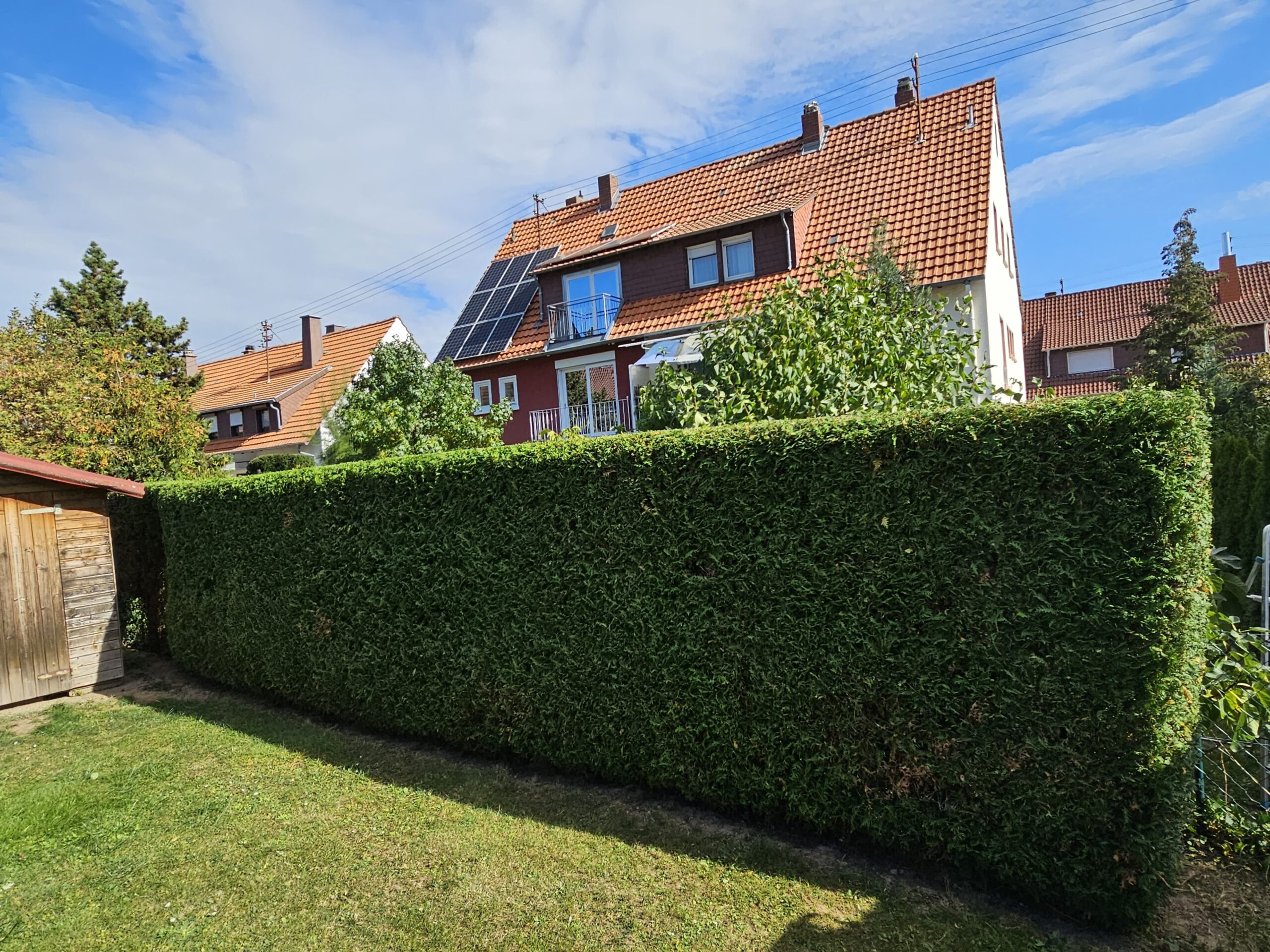Geschnittene Hecke und Rasen im Garten, Galabau Luki Neustadt